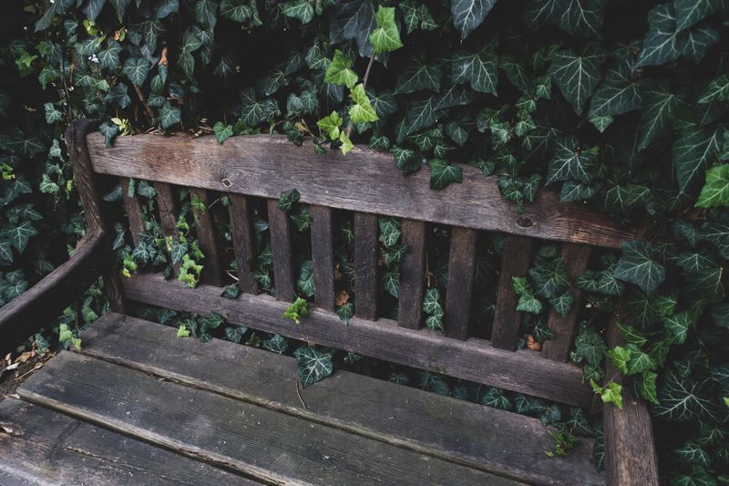 Garden Bench