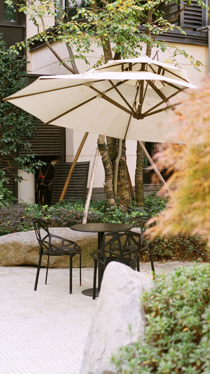 Patio Umbrella