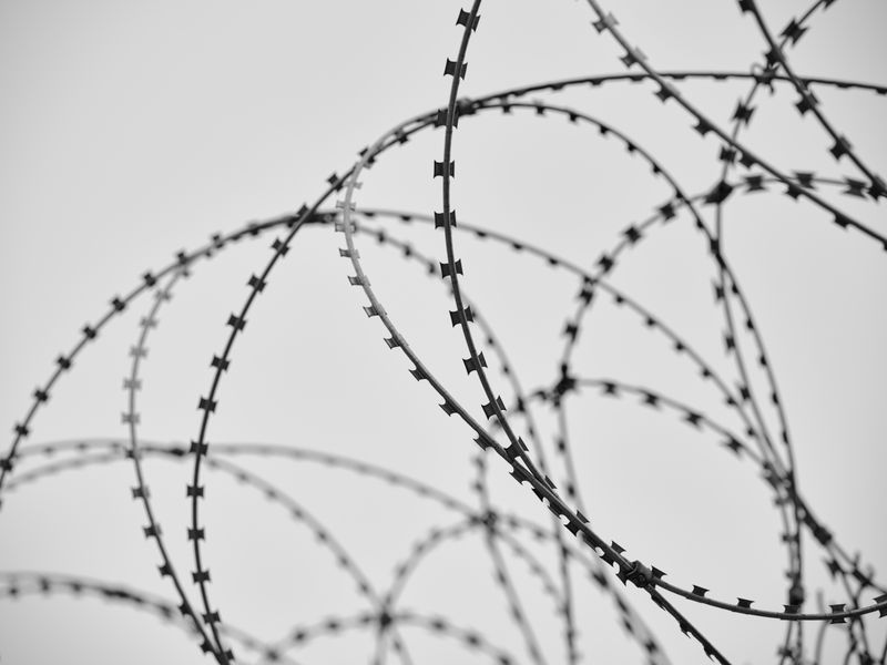 Steel Wire