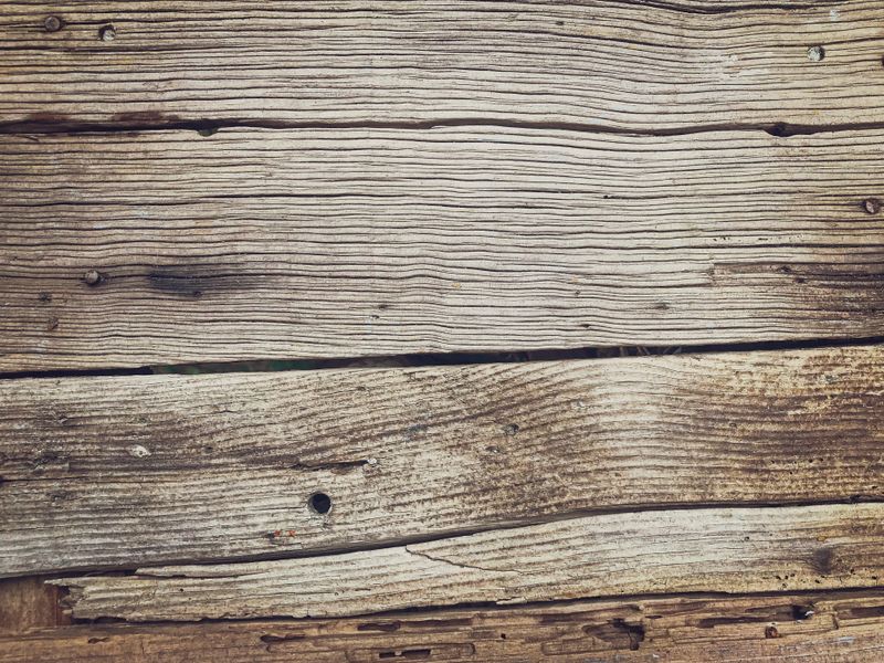 Timber Board