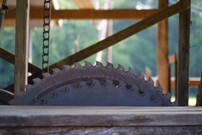 Circular Saw
