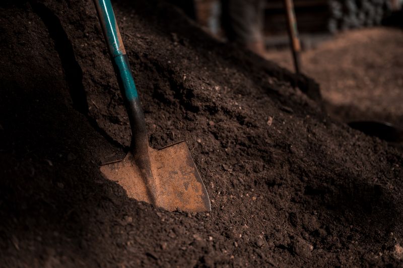 Garden Shovel