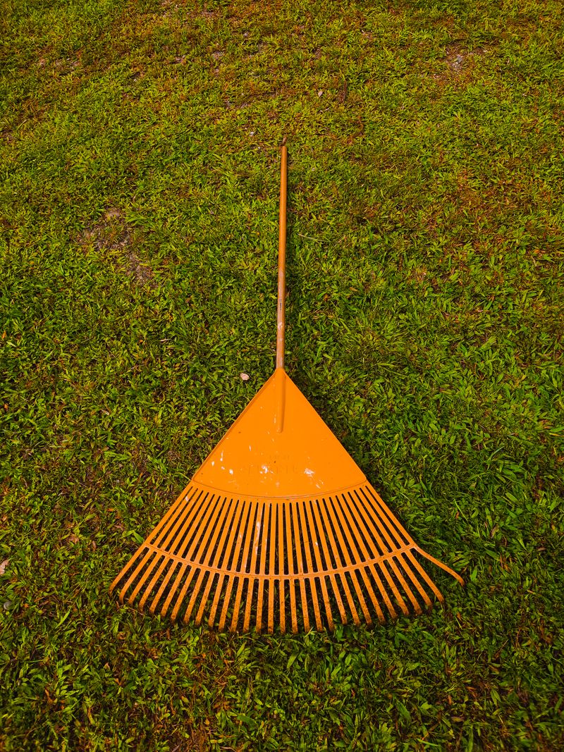 Garden Rake