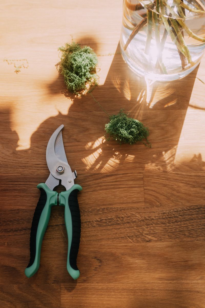Pruning Shears