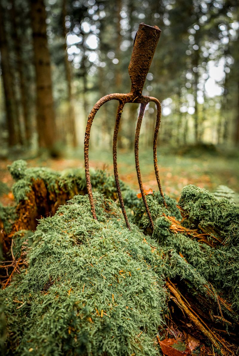 Garden Fork