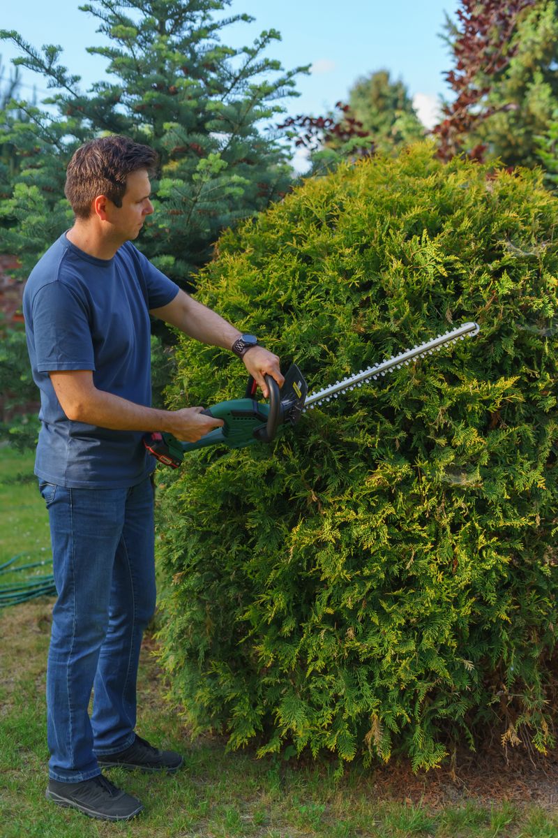 Hedge Trimmer