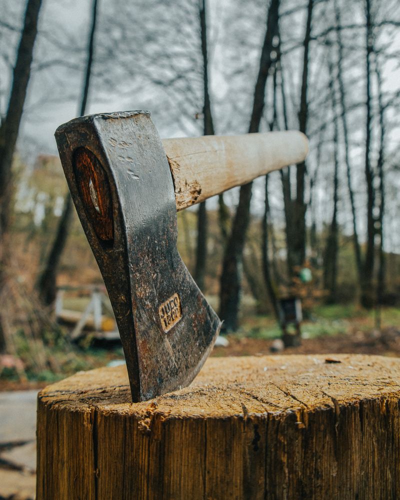 Chopping Axe
