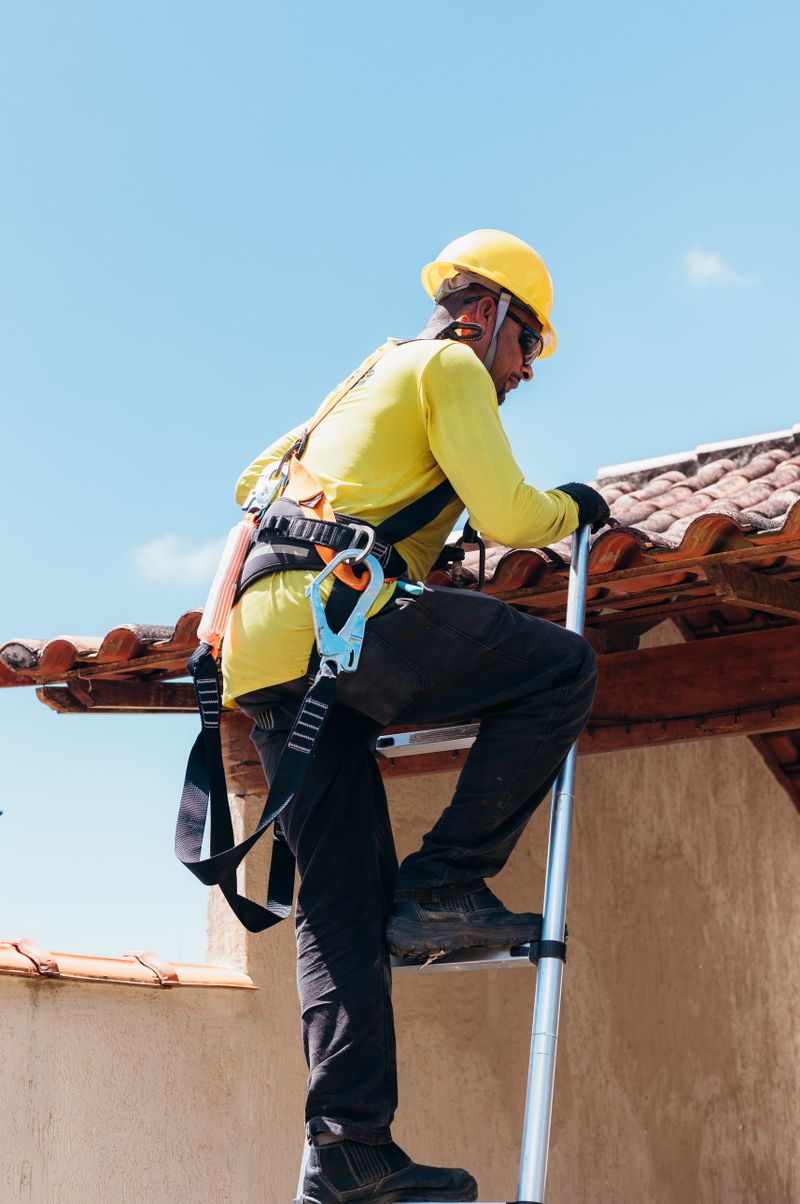 Ladder Stabilizer