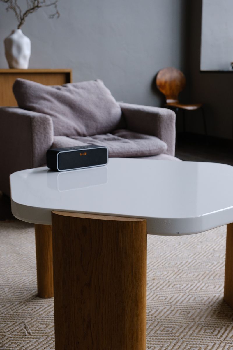 Party Speaker with Lights