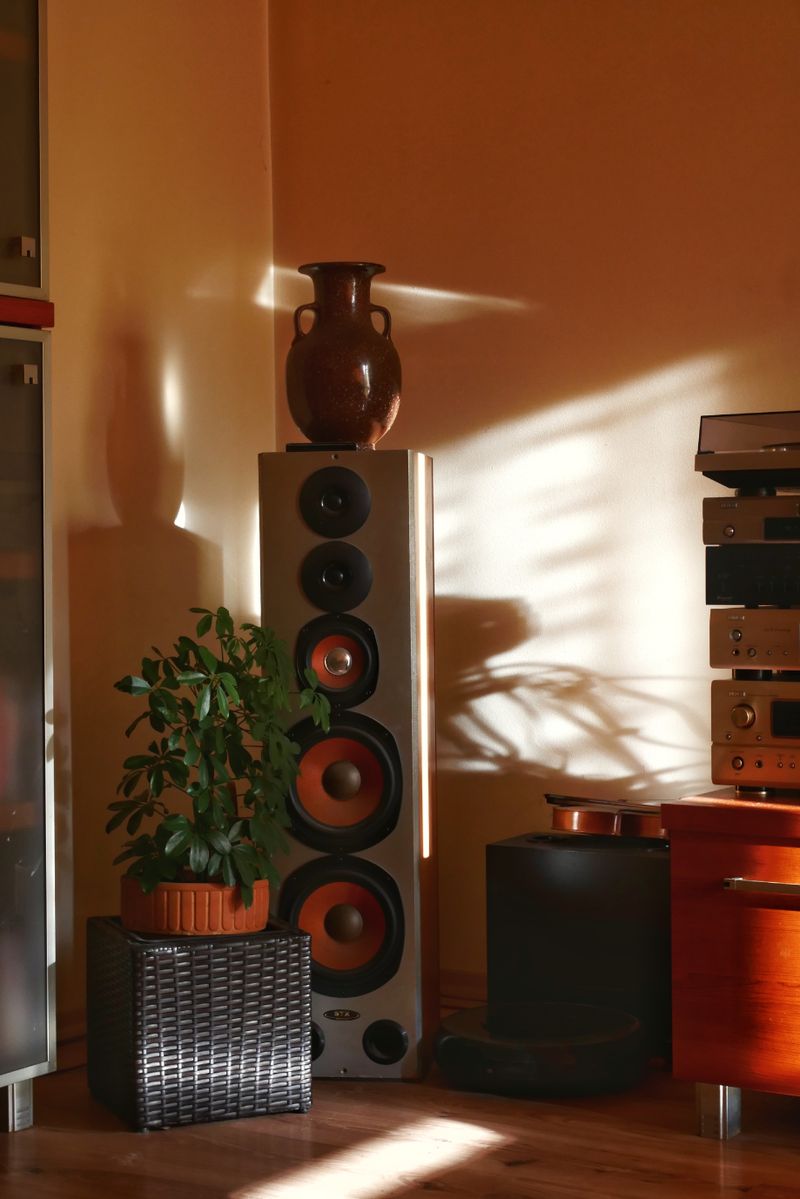 Ceiling Speaker