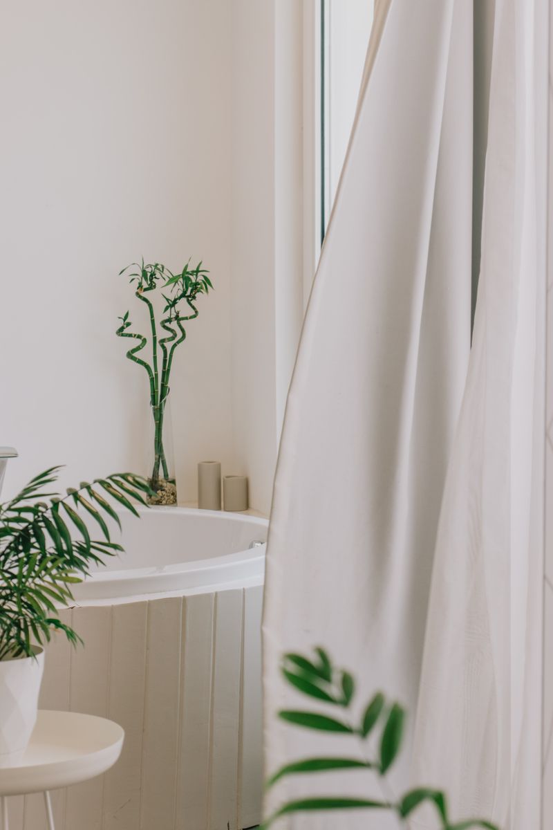 Shower Curtain
