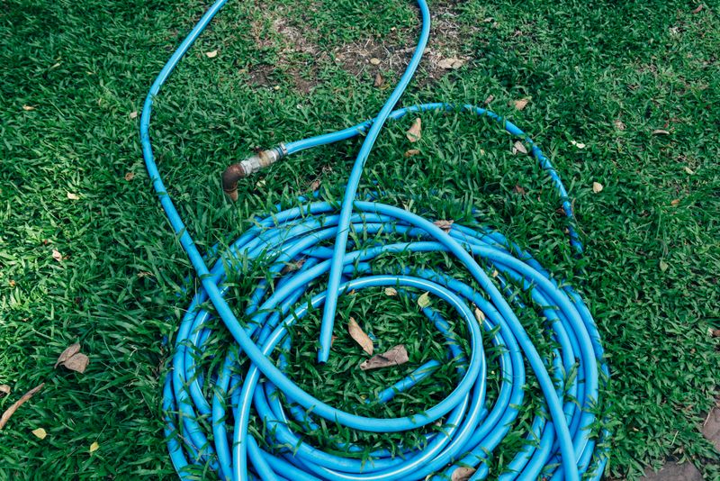 Garden Hose