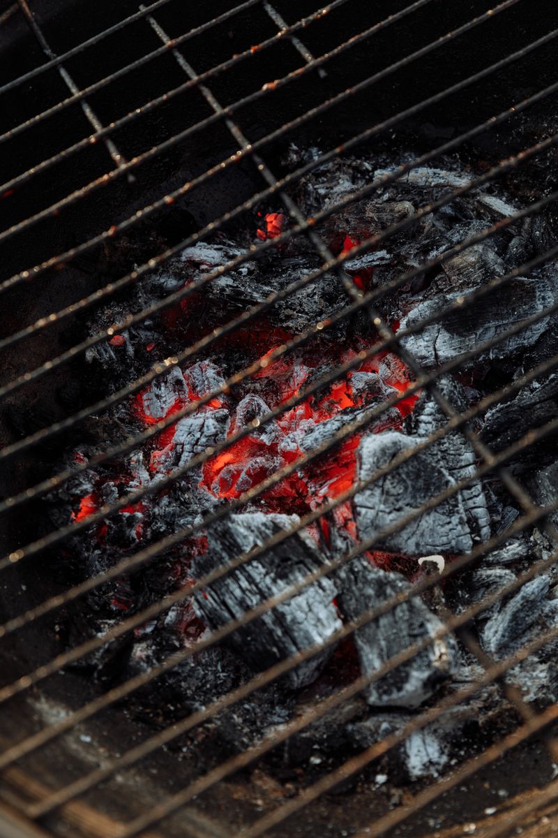 Charcoal BBQ Grill