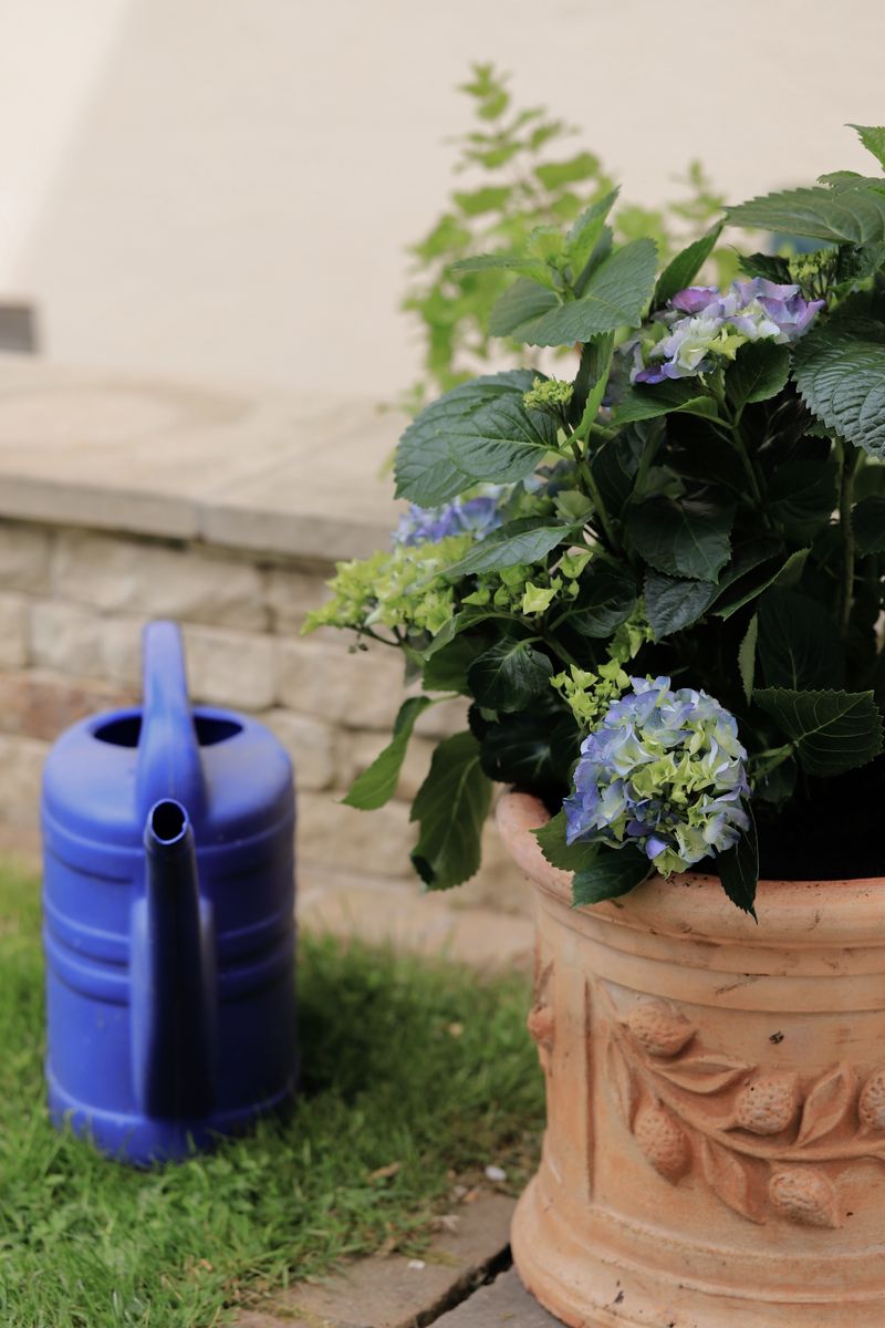 Flower Plant Pot