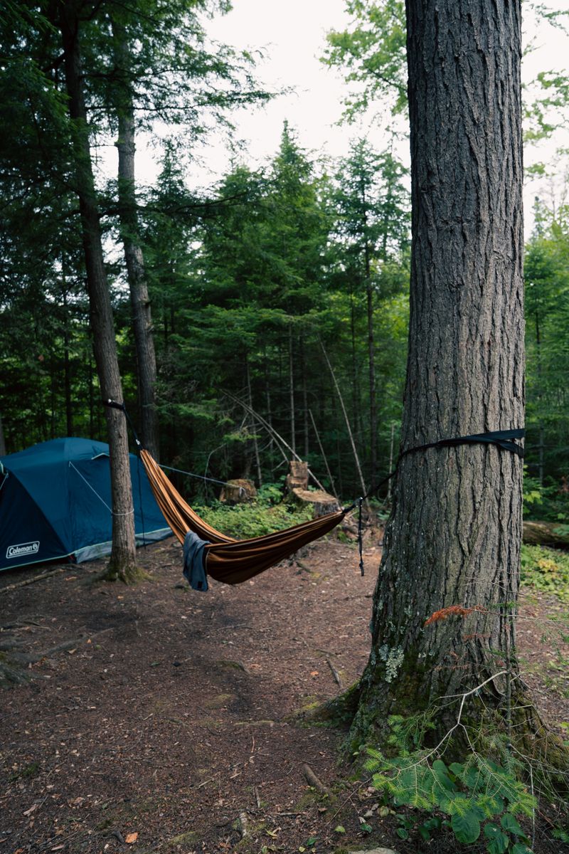 Camping Hammock