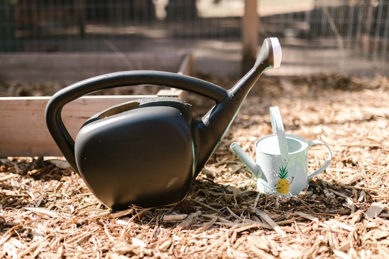 Watering Can