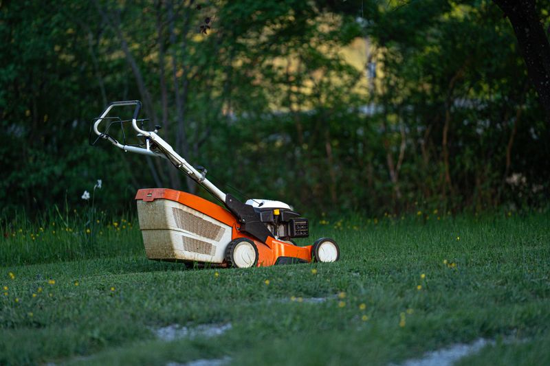 Push Lawn Mower
