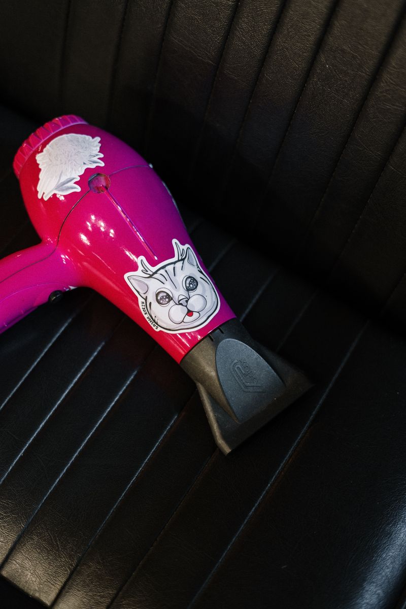 Hair Dryer
