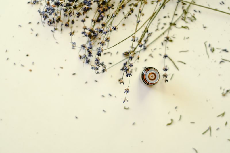 Lavender Essential Oil