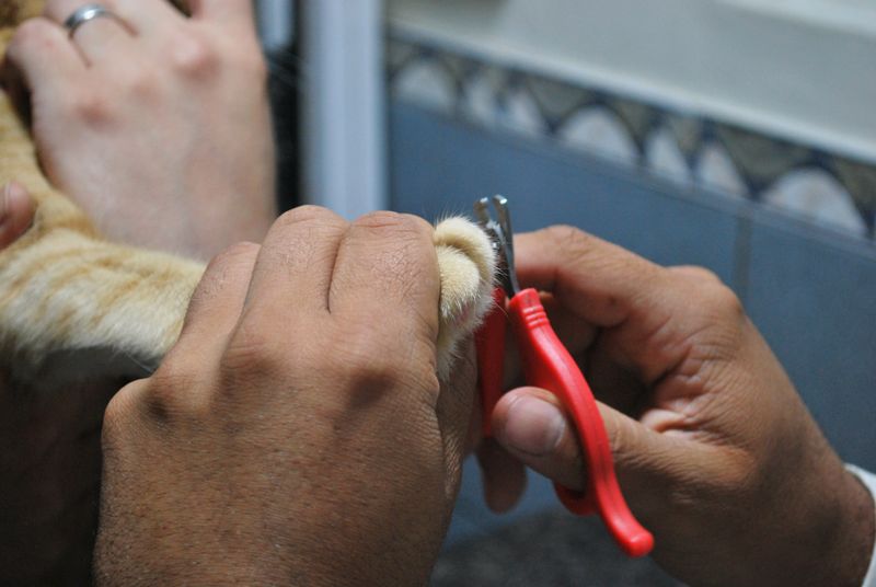 Nail Clipper Set