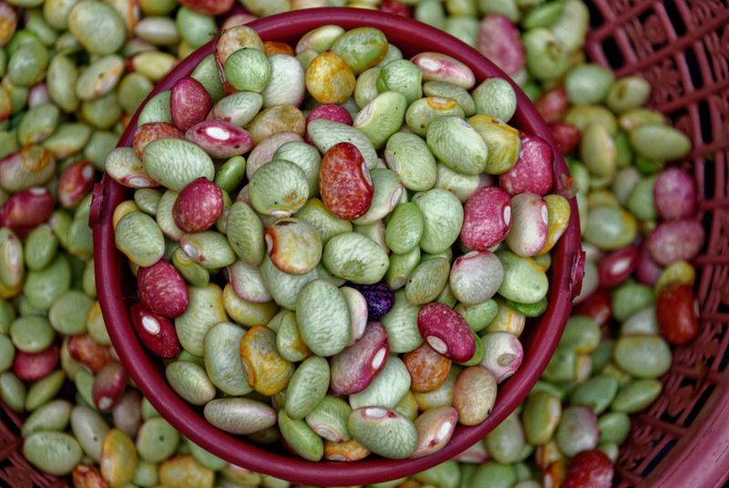 Canned Beans