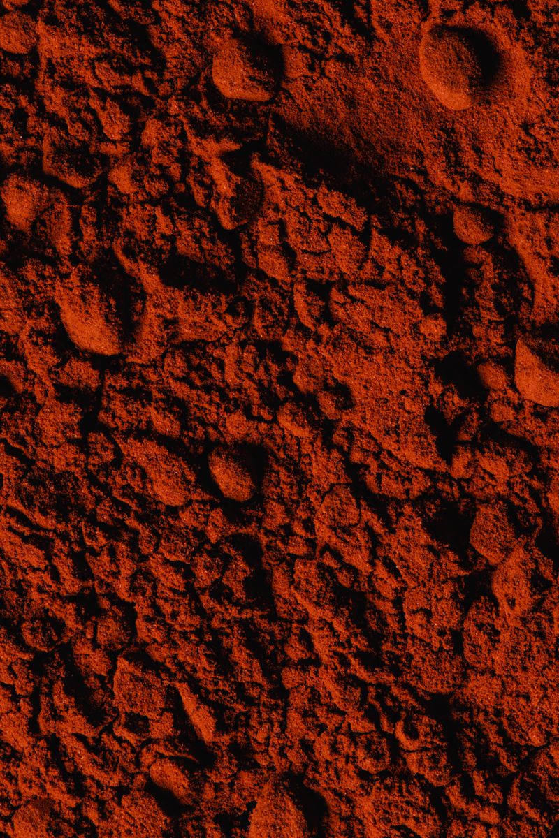 Paprika