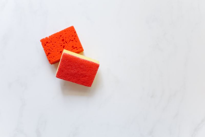 Sponge Scourers