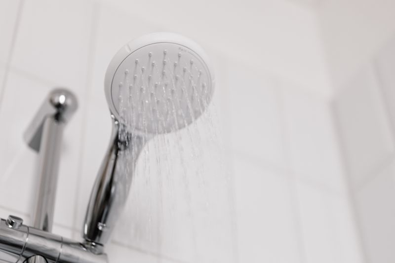 Shower Head Filter