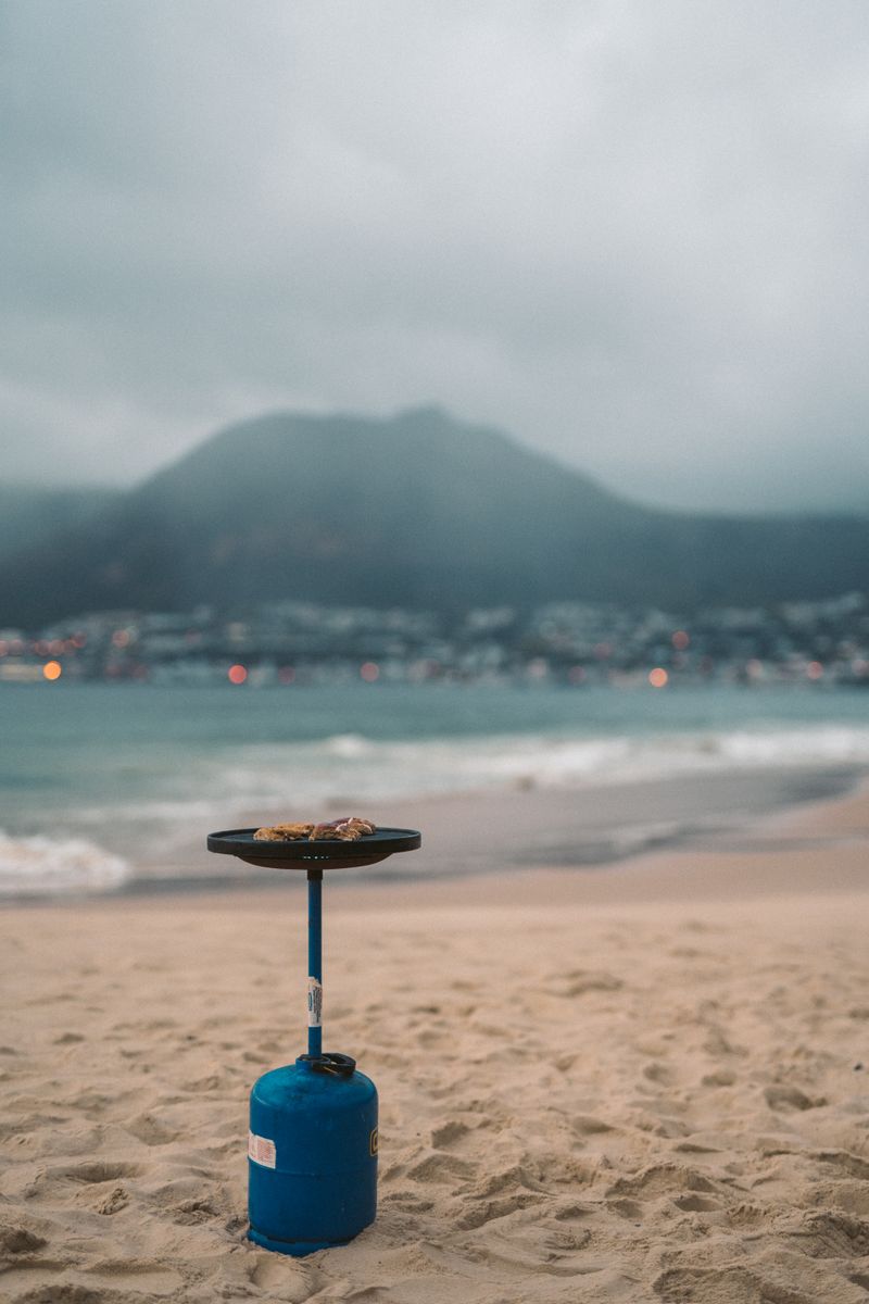 Portable Gas Grill