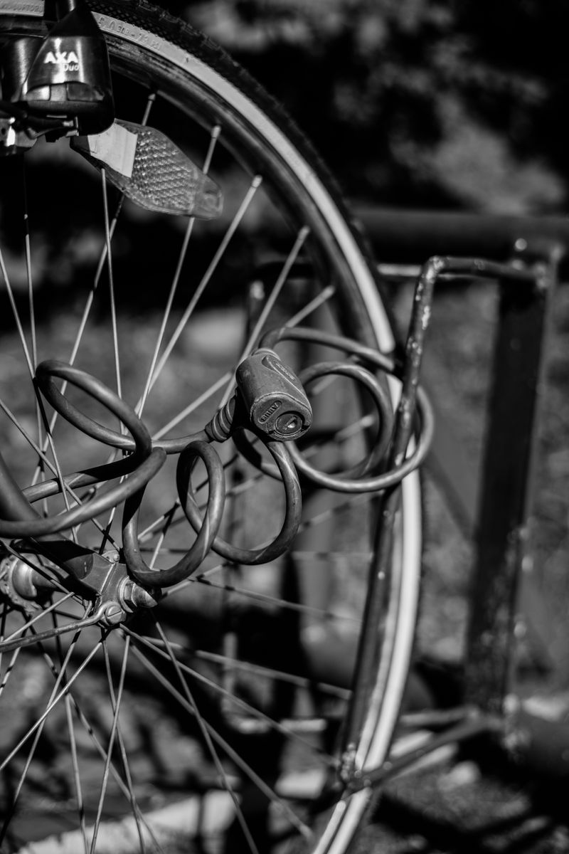 Bike U-Lock