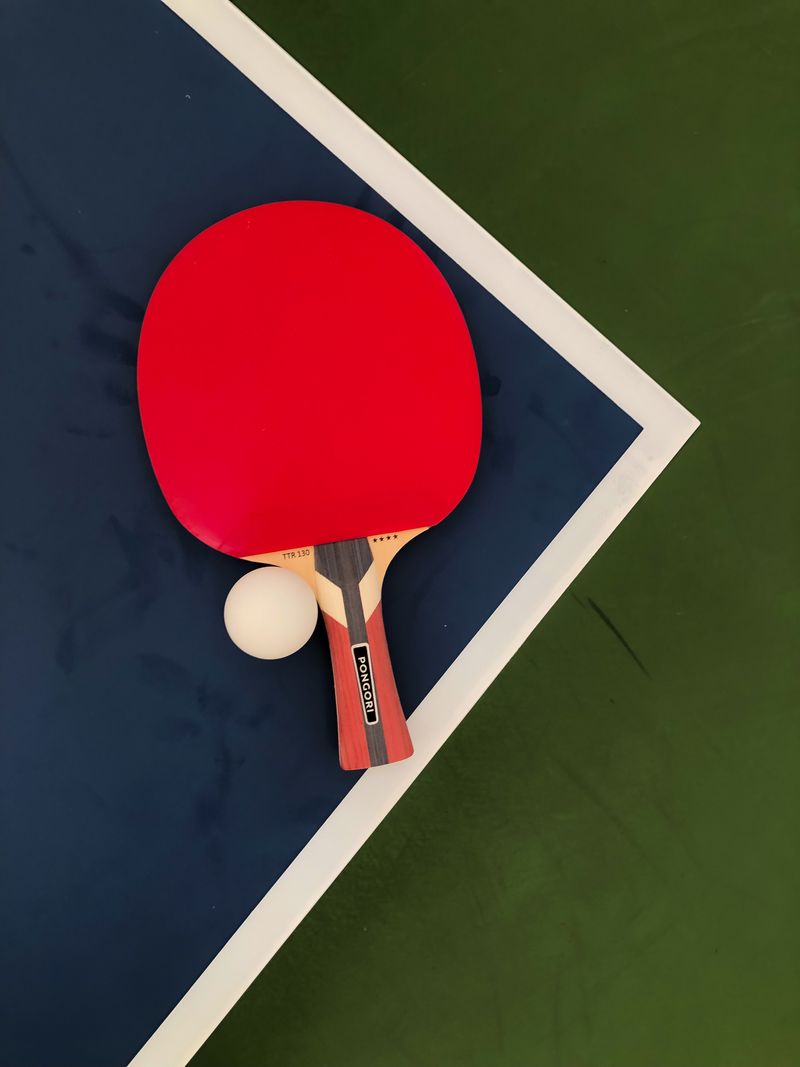 Table Tennis Set