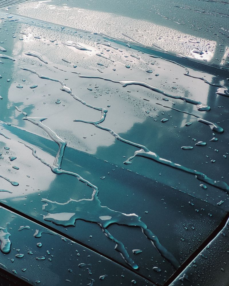 Paint Sealant