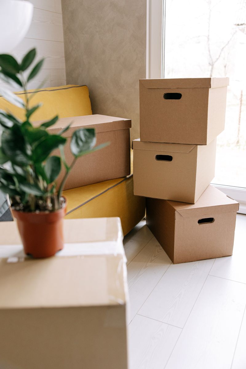 Corrugated Box Set