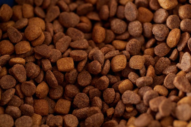 Adult Dry Dog Food