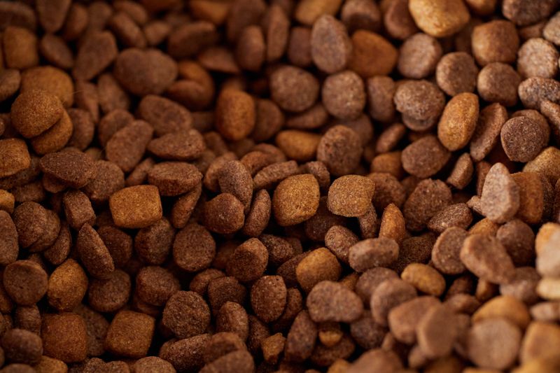 Grain-Free Dog Food