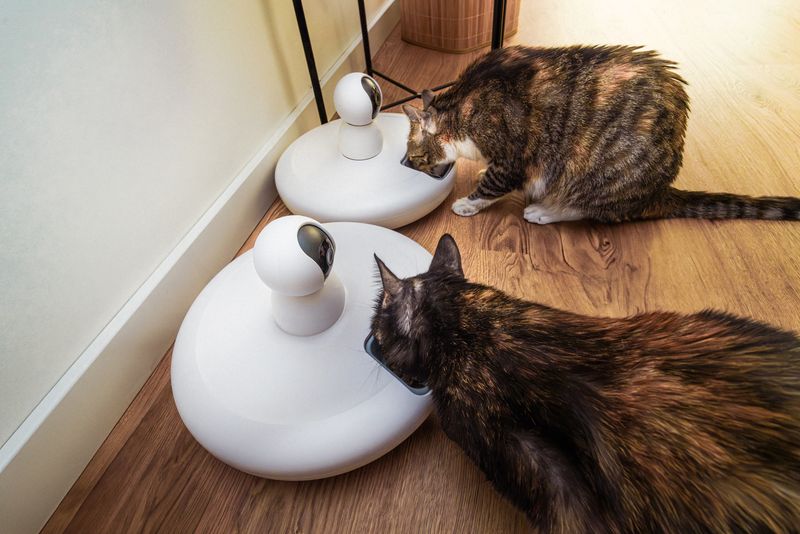 Puzzle Feeder