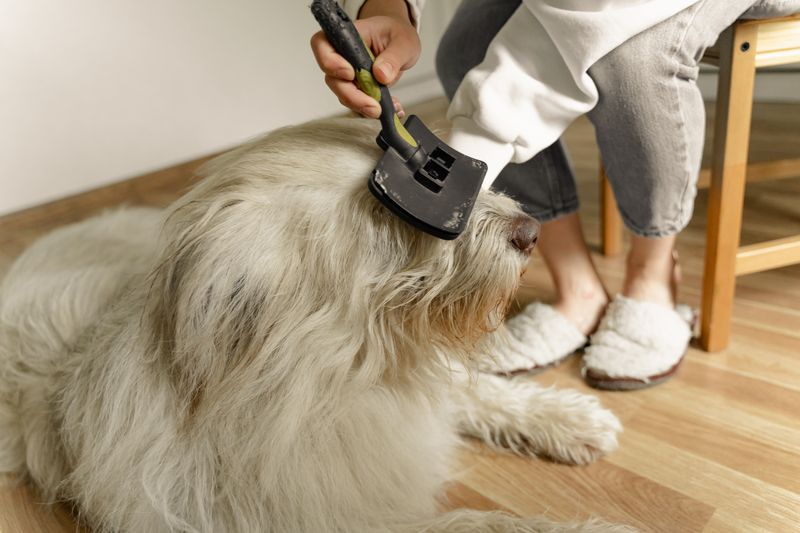 Dog Slicker Brush