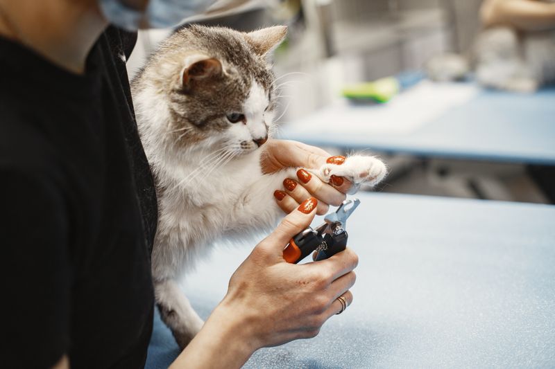 Pet Nail Clipper