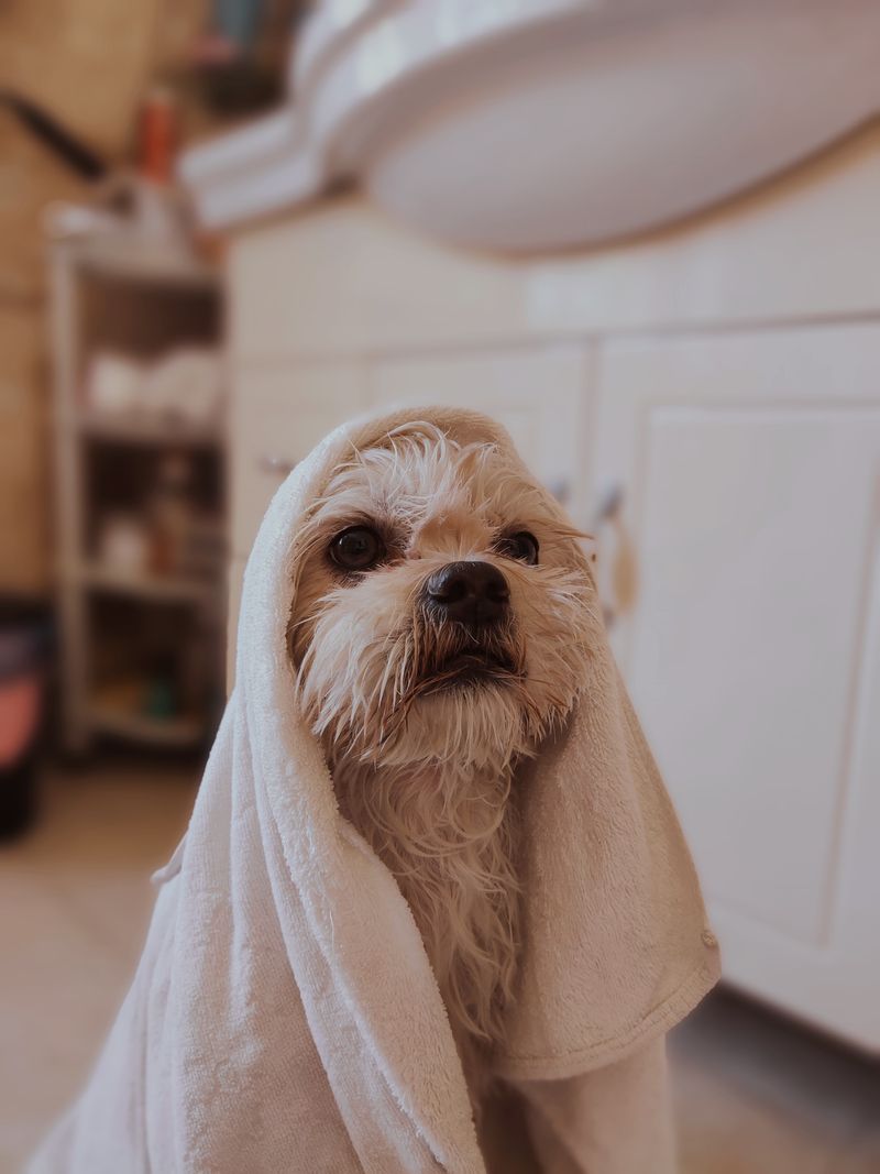 Pet Towel
