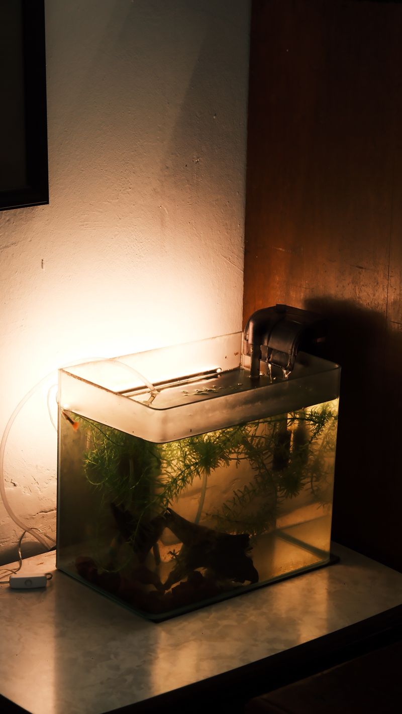 Aquarium Filter