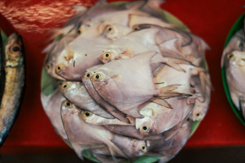 Fish Food
