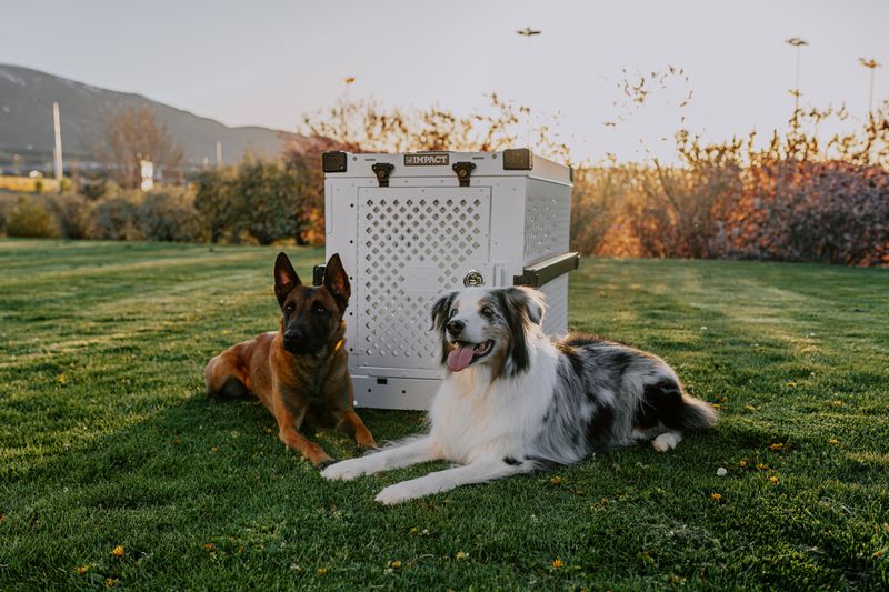 Pet Crate