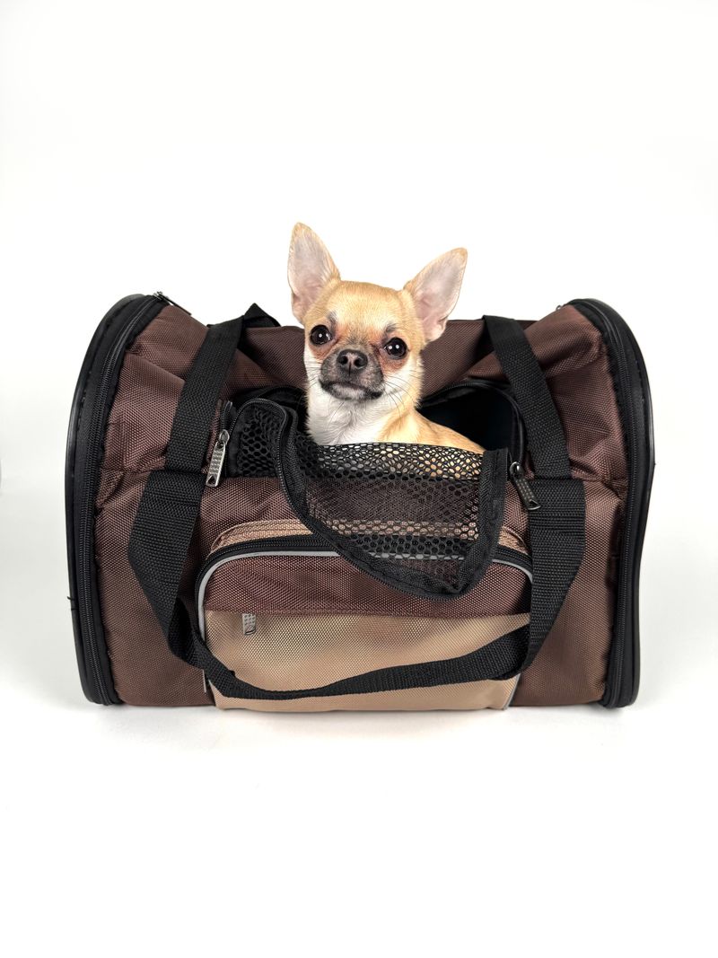 Travel Carrier