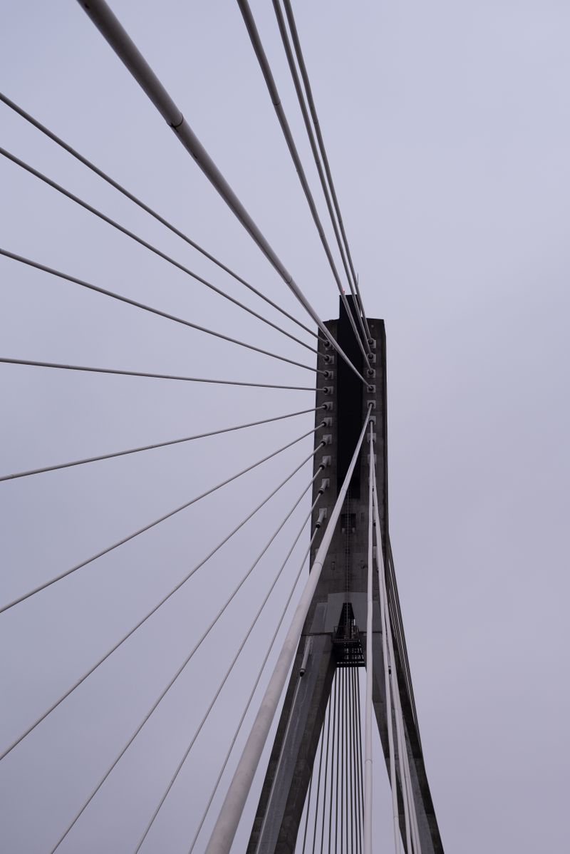 Steel Cable
