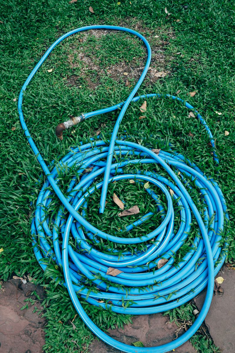 Rubber Hose