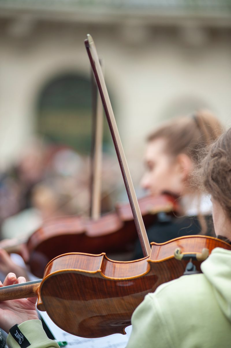 Violin