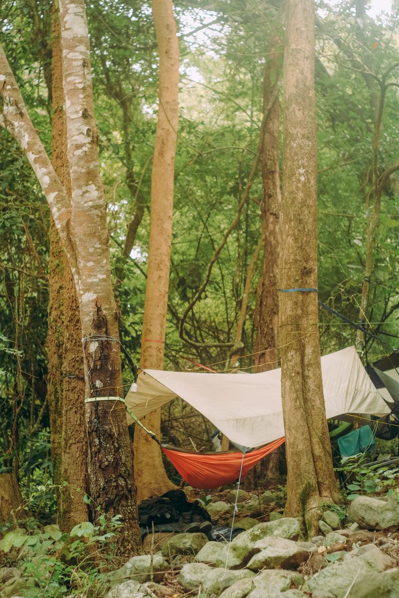 Camping Hammock