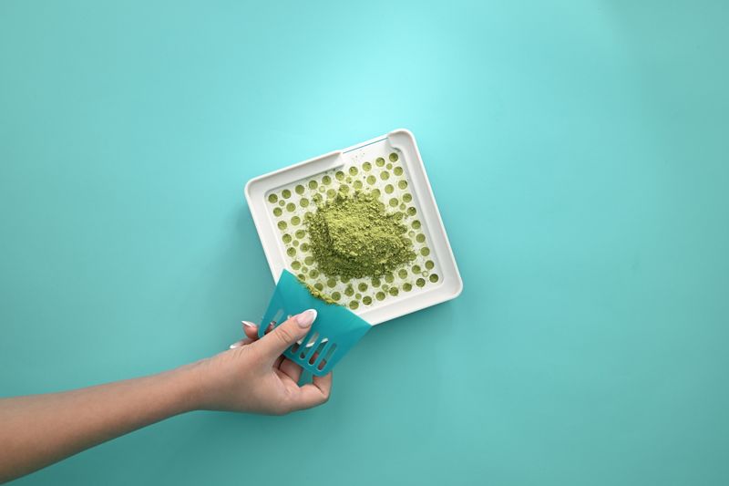 Moringa Powder
