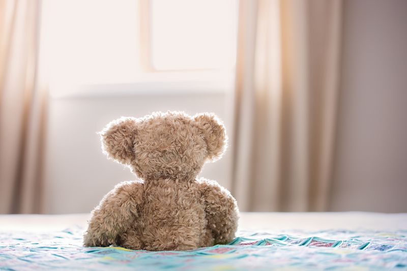 Plush Teddy Bear